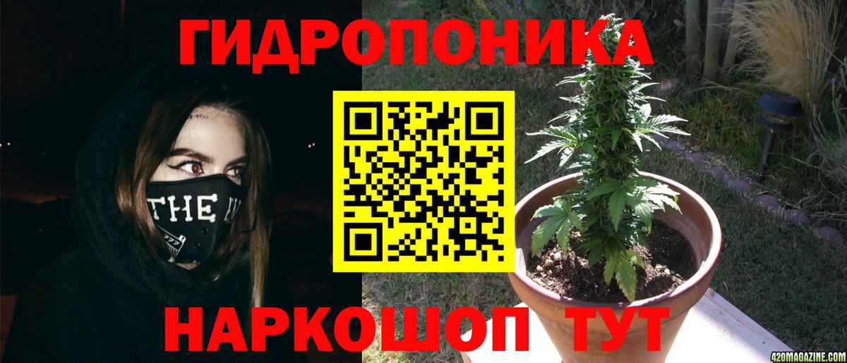 Марихуана SATIVA & INDICA Нижнеудинск